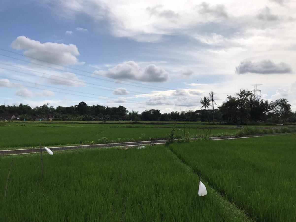 Legiyem Homestay Yogyakarta Eksteriør bilde